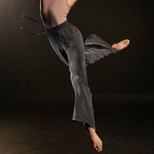 BNWT Lululemon limited edition Cupro wide leg pants. Size 2.